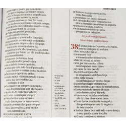 Bíblia de Estudo Scofield - Capa Vinho