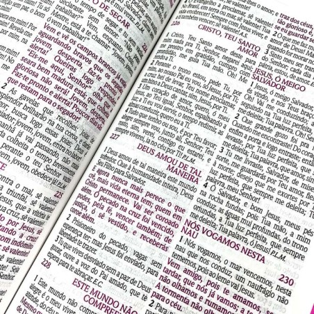 BIBLIA DE ESTUDO DA MULHER SABIA - JARDIM MARGARIDAS