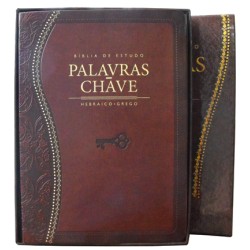 Bíblia Palavras Chave Hebraico e Grego - Clássica Castanha