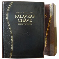 Bíblia Palavras Chave Hebraico e Grego - Clássica Preta