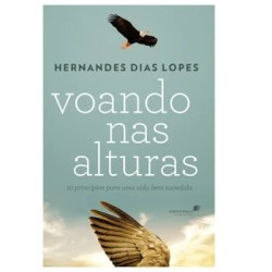 Voando nas Alturas 