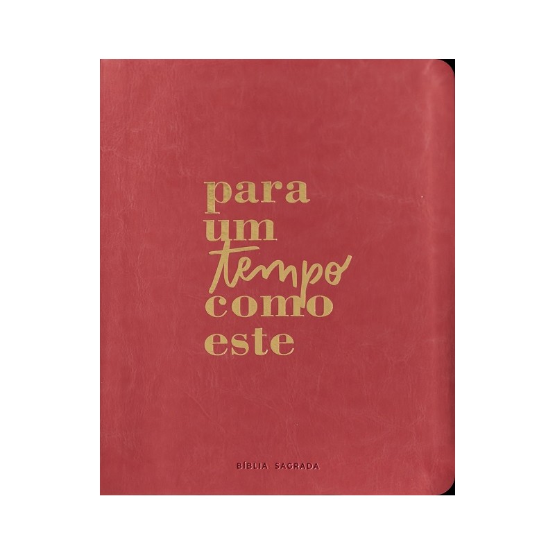 Bíblia Mulheres Nvt - Uma Coluna Para Um Tempo Como Este Bíblia Mulheres Nvt - Uma Coluna Para Um Tempo Como Este