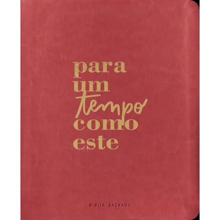 Bíblia Mulheres Nvt - Uma Coluna Para Um Tempo Como Este