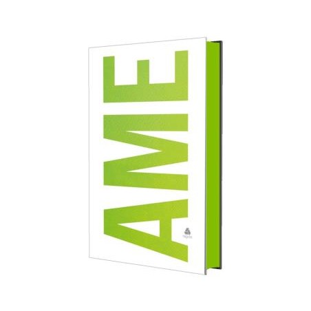 Biblia Sagrada King James - Ame