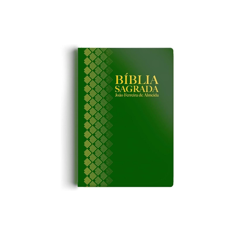 Bíblia Rc G Semi Luxo Verde