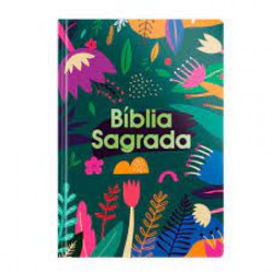 Bíblia sagrada nvt - letra grande - tarde colorida