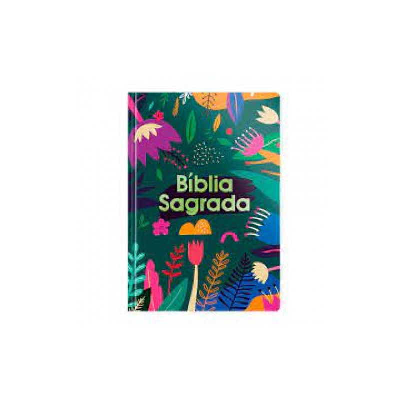 Bíblia sagrada nvt - letra grande - tarde colorida