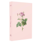 BIBLIA SAGRADA NVI - CAPA DURA - ROSA DE SARON