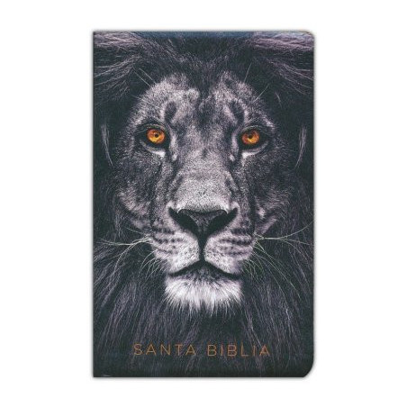 SANTA BIBLIA LEON GRIS
