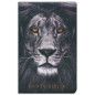 SANTA BIBLIA LEON GRIS