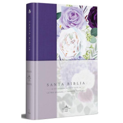 SANTA BIBLIA LETRA GRANDE REINA VALERA - ROXA