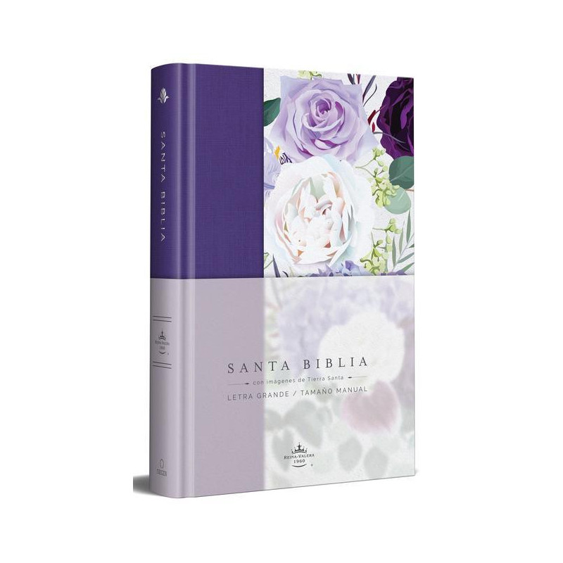 SANTA BIBLIA LETRA GRANDE REINA VALERA - ROXA