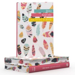 BÍBLIA – RC – LETRA GRANDE – SEMI LUXO – CORES