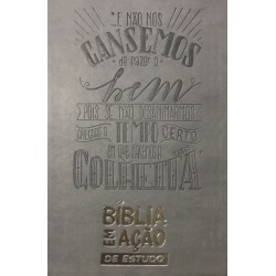 Bíblia em Ação de Estudo Capa Luxo Cinza