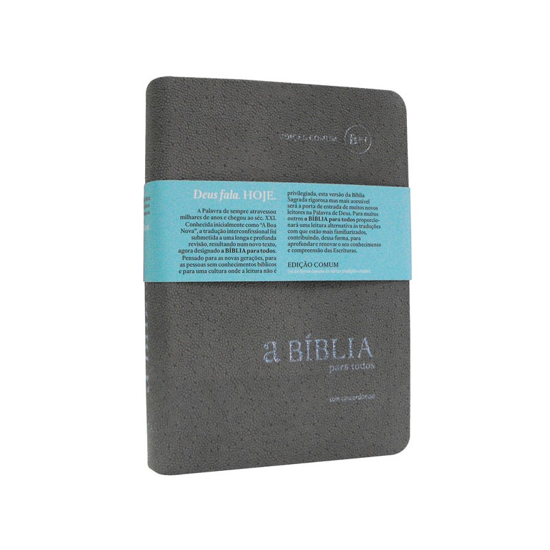 Bíblia para Todos - Concordância - Cinza