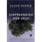 Surpreendido por Deus