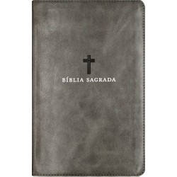 Bíblia Sagrada ACF - Cinza