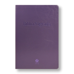 BÍBLIA NVT SLIM LUXO ESPECIAL ROXA