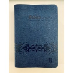 BÍBLIA ARC CONCORDÂNCIA LETRA GRANDE - AZUL