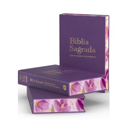 Bíblia Rc Grande Dicionário E Concordância Luxo Especial Roxa