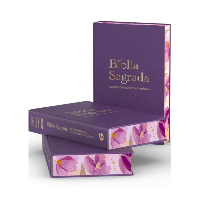 Bíblia Rc Grande Dicionário E Concordância Luxo Especial Roxa