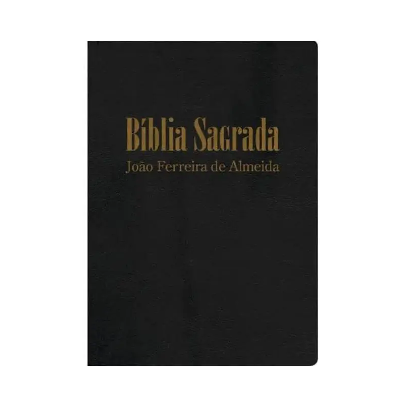 Bíblia Letra Gigante - Luxo Preta 4840 