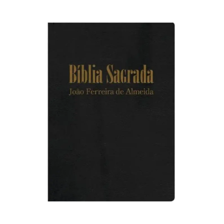 Bíblia Letra Gigante - Luxo Preta 4840 
