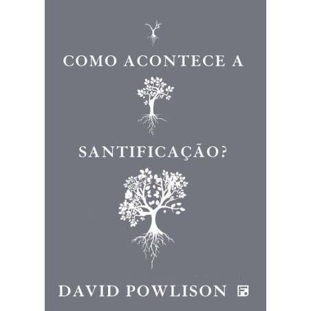 Como Acontece a Santificação
