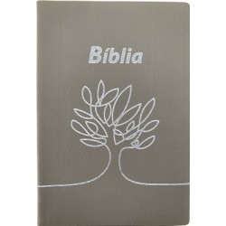 Bíblia com concordância e letra maior