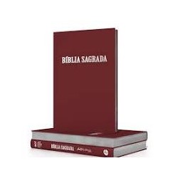 Bíblia – Acf – Luxo – Letra Normal – Rose