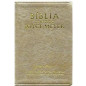 Bíblia de Estudo Media Joyce Meyer - Capa Dourada Bíblia de Estudo Media Joyce Meyer - Capa Dourada