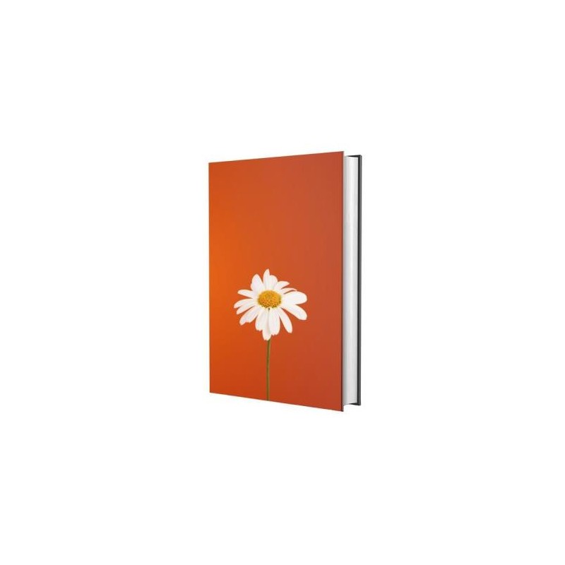 Biblia Sagrada Nvi - Margarida Biblia Sagrada Nvi - Margarida