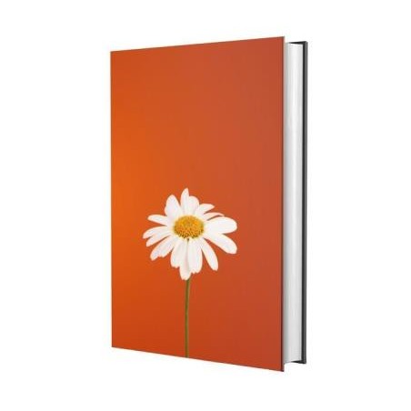 Biblia Sagrada Nvi - Margarida