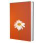 Biblia Sagrada Nvi - Margarida Biblia Sagrada Nvi - Margarida