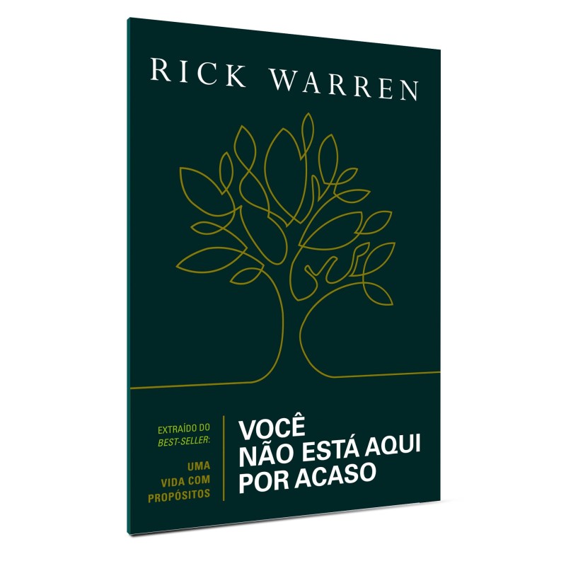 Você Não Está Aqui Por Acaso Você Não Está Aqui Por Acaso