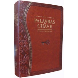 Bíblia Palavras Chave Hebraico e Grego - Clássica Castanha