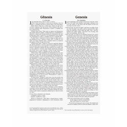 Bíblia NVI Bilíngue Português-Inglês - Capa Luxo Preta