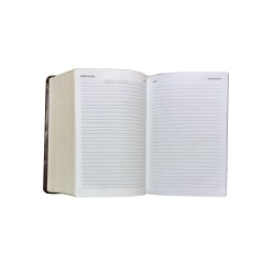 Bíblia Almeida Século 21 Letra grande luxo - marrom