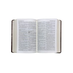 Bíblia Almeida Século 21 Letra grande luxo - marrom