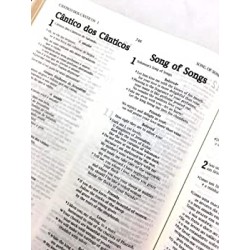 Bíblia NVI Bilíngue Português-Inglês - Capa Luxo Azul