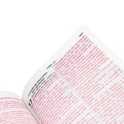 Bíblia Sagrada Feminina Com Harpa Letra Gigante Palavras Jesus Vermelho Capa Flores Cerejeira