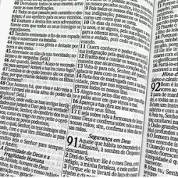 Biblia Sagrada RC Letra Gigante Com Harpa Avivada E Corinhos Capa Dura Circulo Flores