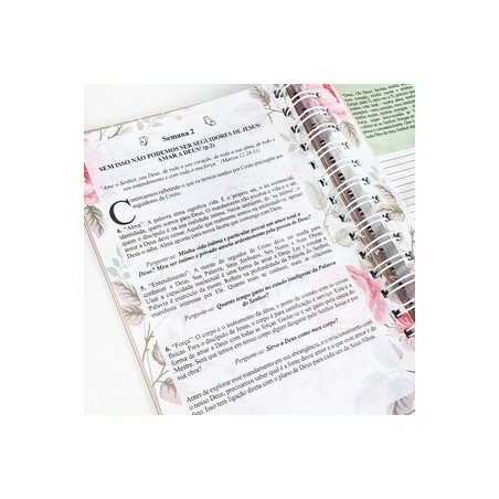 Diário De Oração Lettering Meditação e Devocional Semanal