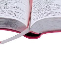 Bíblia Sagrada NTLH  com letra extragigante