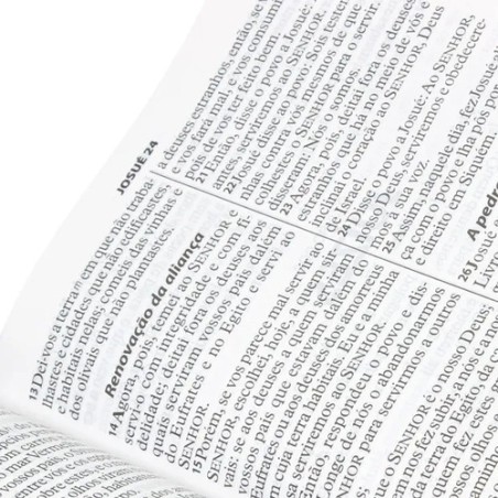 Bíblia Sagrada Letra Extragigante E Vermelhas Capa Vinho Ara
