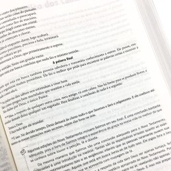 Bíblia de Estudo a Mensagem CP Cinza e Vermelho 