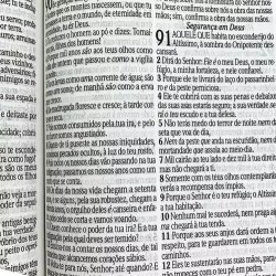 Bíblia Sagrada Infantil RC Letra Grande Leão Criança