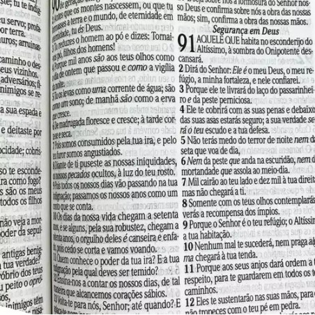 Bíblia Sagrada Infantil RC Letra Grande Leão Criança
