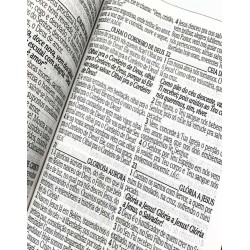 Bíblia Sagrada Letra Grande Harpa E Corinhos Leão Capa Dura