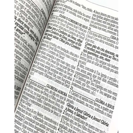 Bíblia Sagrada Letra Grande Harpa E Corinhos Leão Capa Dura